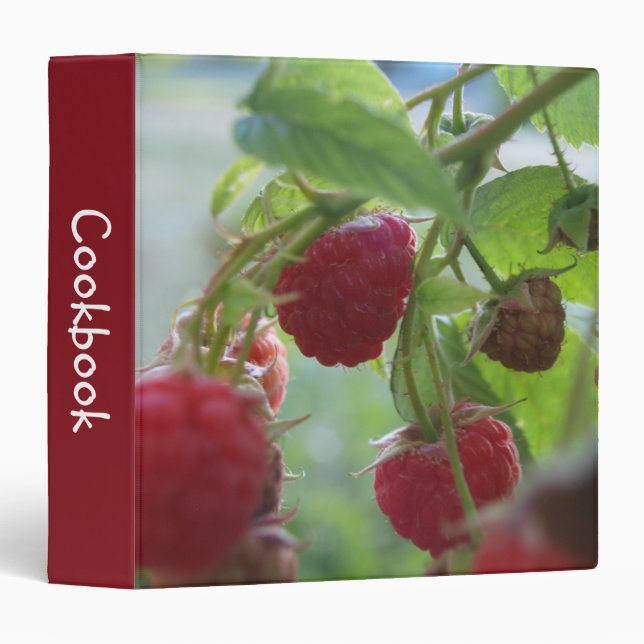 Classeur des framboises rouges (Devant/Côté)