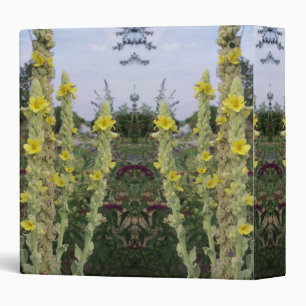Classeur d'esprit d'usine de Mullein