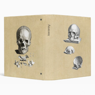 Classeur Dessin d'anatomie du crâne et des os
