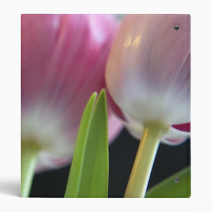 Classeur Deux belles tulipes roses