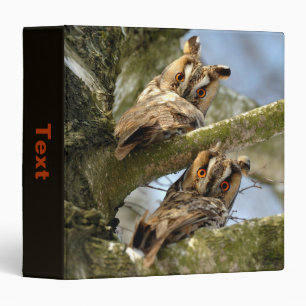 Classeur Deux hiboux dans les bois, oiseaux, faune 3 anneau