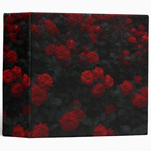 Classeur Diamond rose (Devant/Côté)
