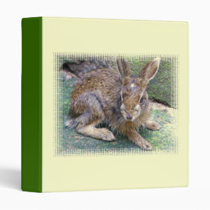 Classeur d'image de lapin
