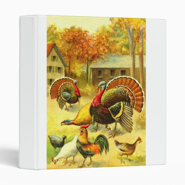 Classeur Dindons et poulets (Devant/Côté)
