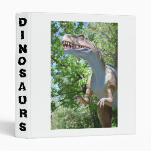 Classeur Dinosaure T-Rex
