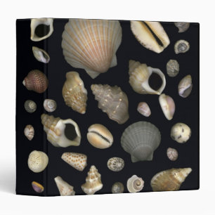 Classeur Diverses coquilles de mer