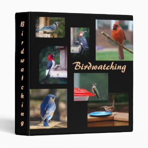 Classeur d'observation des oiseaux