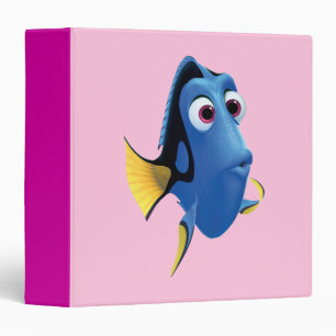 Classeur Dory 4