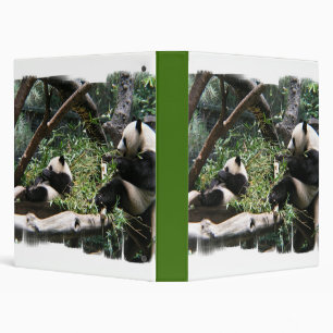 Classeur d'ours panda