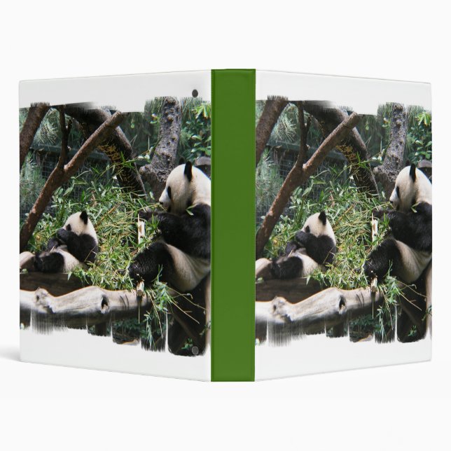 Classeur d'ours panda (Arrière-plan)