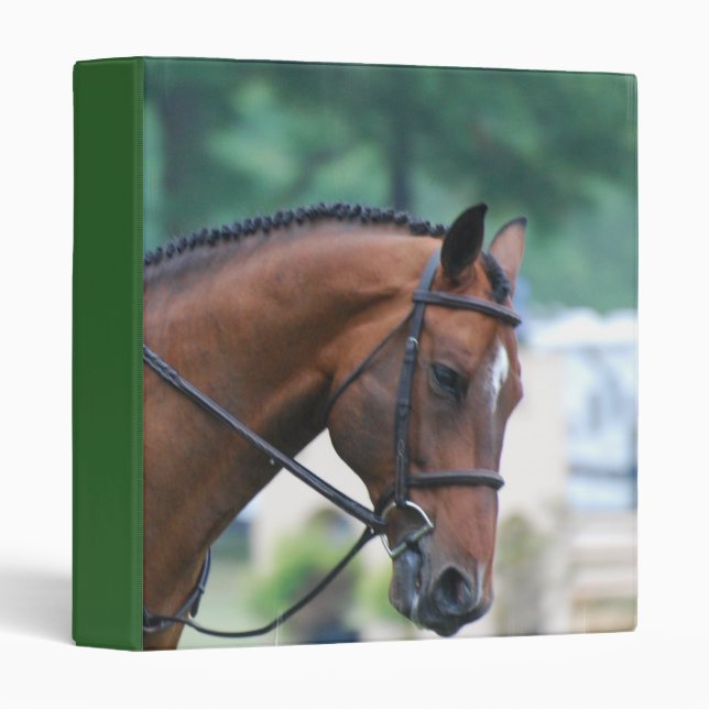Classeur doux de cheval de Morgan (Devant/Côté)