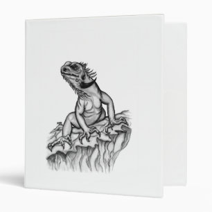 Classeur Dragon sur le rocher