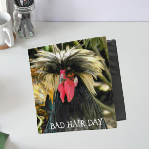 Classeur Drôle Mème de poule de la journée des cheveux mauv