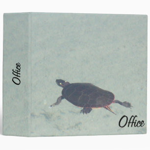 Classeur du bureau de tortue