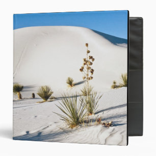 Classeur Dunes transversales et Yucca à feuilles de savon