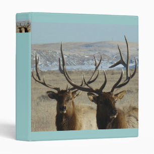 Classeur E45 Têtes d'Elk Bull
