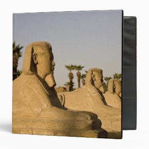 Classeur Égypte, Louxor. L'Allée des Sphinx mène à