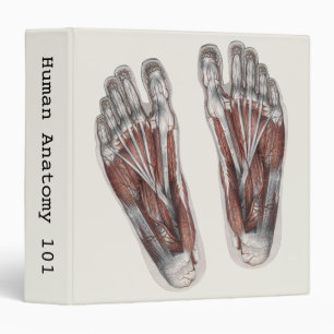 Classeur Empreinte de pied d'anatomie humaine vintage Podol