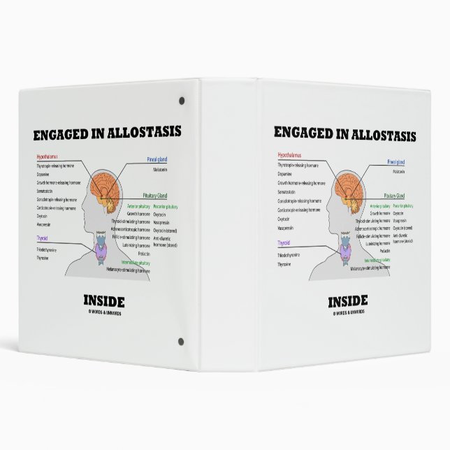 Classeur Engagé Dans L'Allostase À L'Intérieur Des Hormones (Arrière-plan)