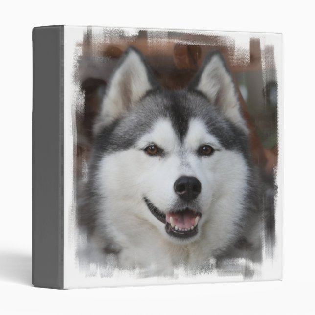 Classeur enroué de chien (Devant/Côté)