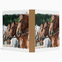 Classeur équin de concours hippique