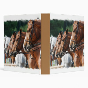 Classeur équin de concours hippique