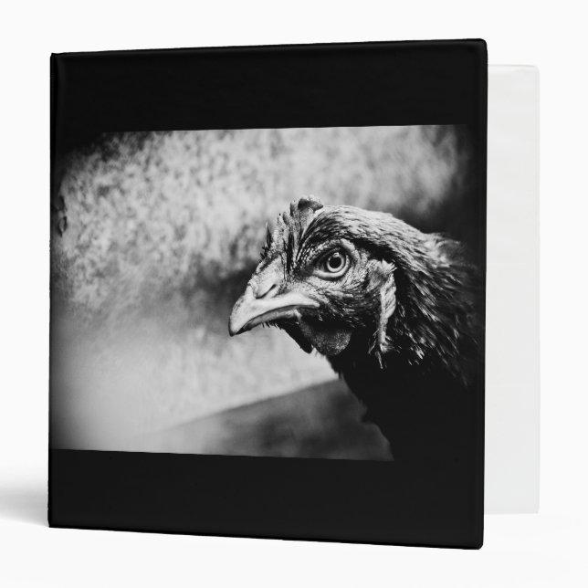 Classeur esprits et poulets (Devant/Intérieur)
