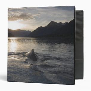 Classeur États-Unis, Alaska, Glacier Bay National Park,