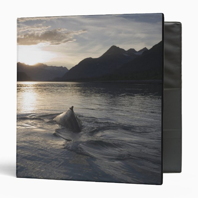 Classeur États-Unis, Alaska, Parc national de Glacier Bay, (Devant/Intérieur)