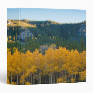 Classeur États-Unis, Colorado. Jaunes brillants peupliers f