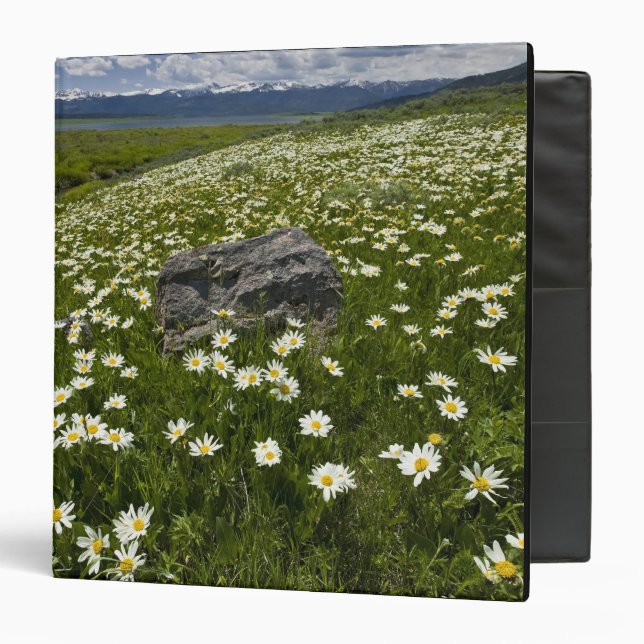 Classeur États-Unis, Montana, Fleurs de marguerite (Devant/Intérieur)