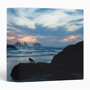 Classeur États-Unis, Oregon, Bandon Beach. Mouette sur un r