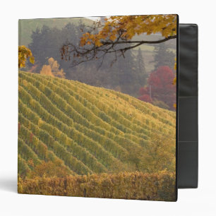 Classeur États-Unis, Oregon, Newberg. Vignoble en automne.