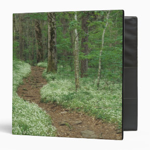 Classeur États-Unis, Tennessee, Great Smoky Mountains NP, 3