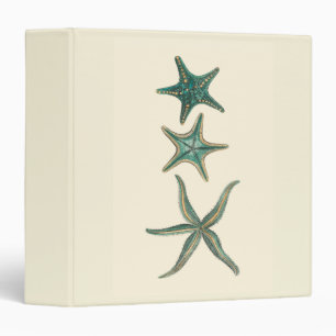 Classeur Étoiles de mer triples bleu vert