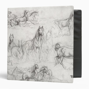 Classeur Étude des chevaux
