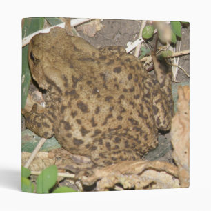 Classeur européen commun de crapaud