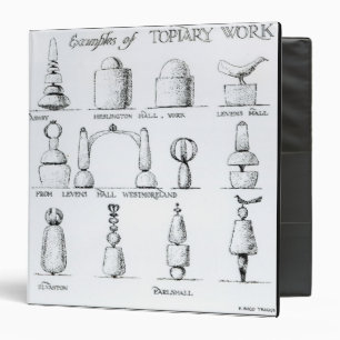 Classeur Exemples du travail topiaire, 1902 (gravure) (b/w