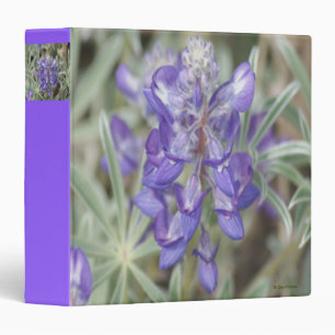 Classeur F18 Fleurs sauvages violettes Lupin annuel