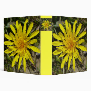 Classeur F21 fleur sauvage jaune Crépis à feuilles étroites