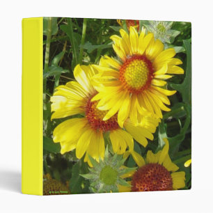 Classeur F6 Fleurs sauvages jaunes Reliure Gaillardia