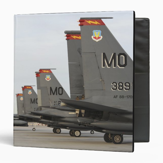 Classeur F-15E de l'US Air Force (Devant/Intérieur)