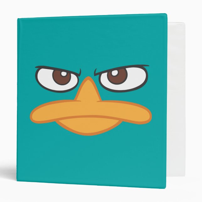 Classeur Face de l'agent P (Devant/Intérieur)