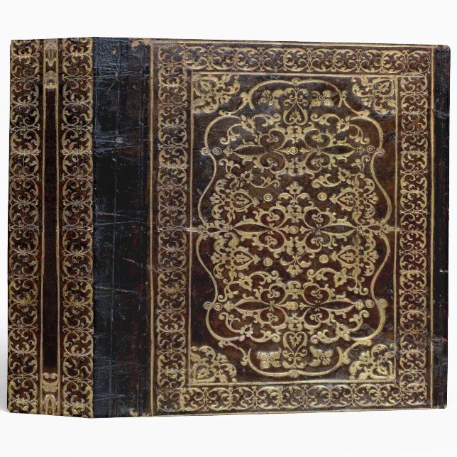 Classeur Falln a doré le livre en cuir de tome (Devant/Côté)