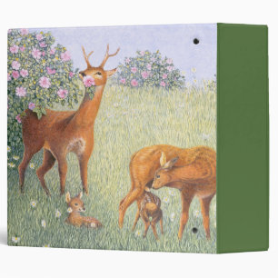 Classeur Famille de cerfs communs