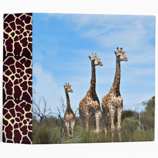 Classeur Famille de girafes sur une colline herbeuse