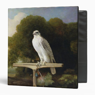 Classeur Faucon du Groenland (faucon gris), 1780 (huile sur