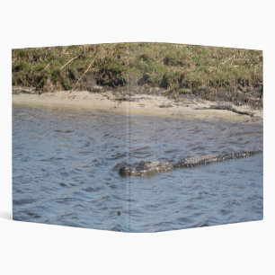 Classeur Faune d'alligator américain dans les eaux marécage
