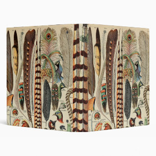 Classeur Feather Bird Wildlife Plumes d'antiquités