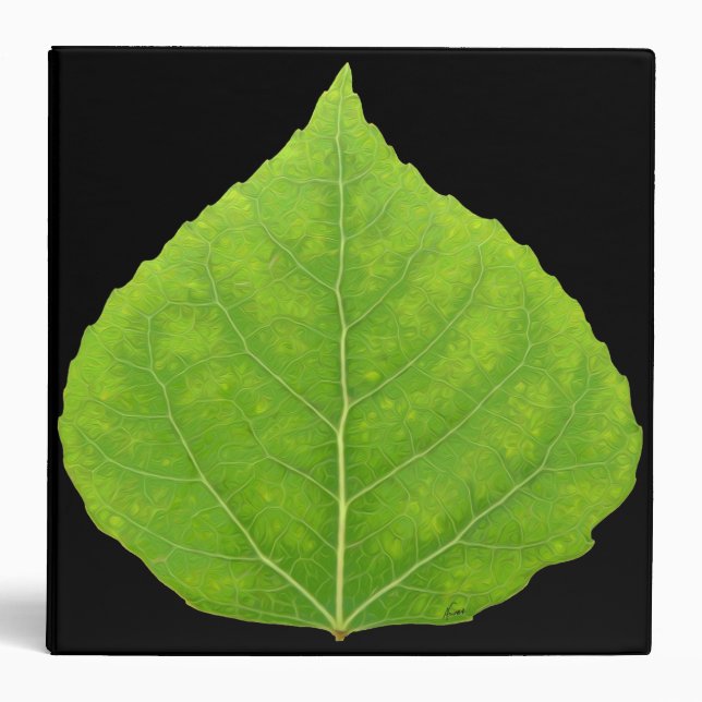 Classeur Feuille d'Aspen vert #11 (Devant)